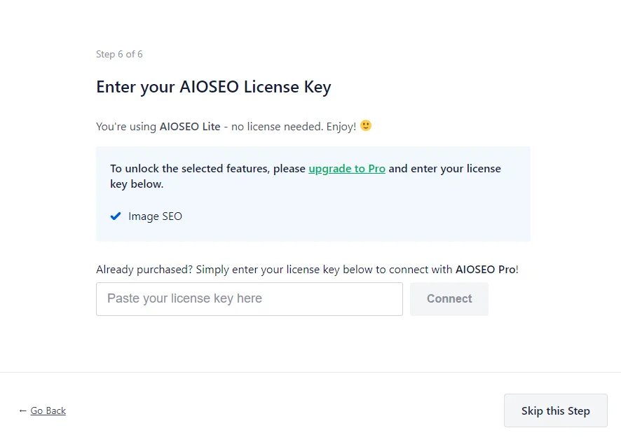 enter aioseo license key