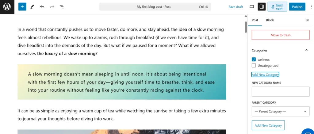 add-categories-and-tags-wordpress-post